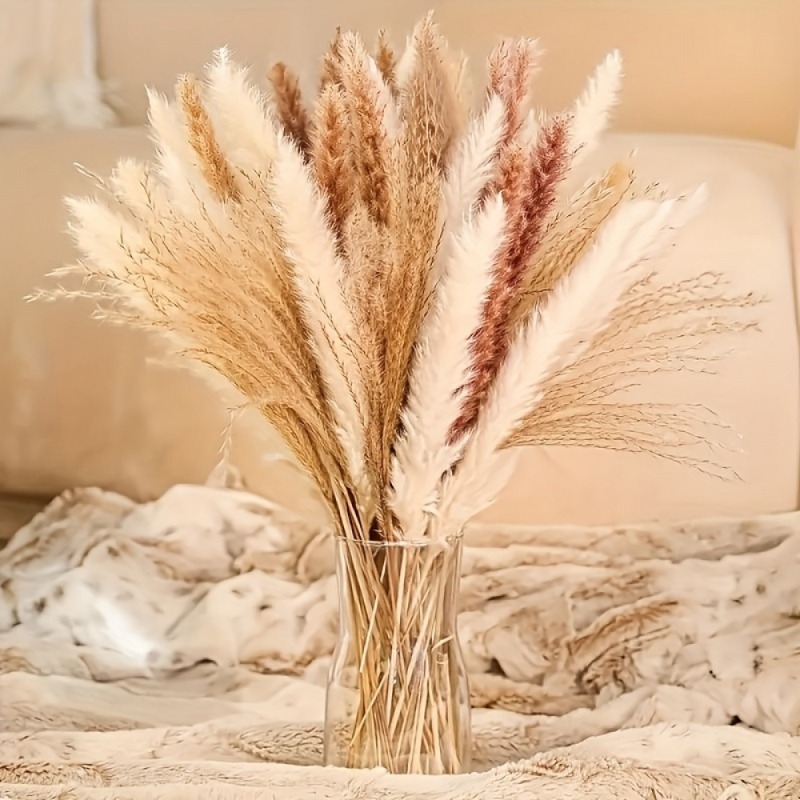 Dried Pampas Bundle - 110 Piezas de Ramos Florales Secos