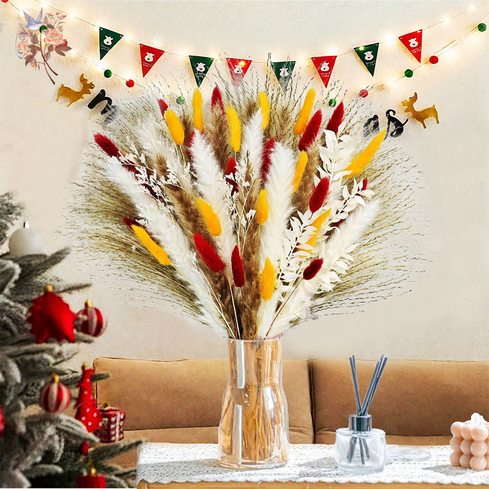 Dried Pampas Bundle - 70 tallos de cañas de hierba