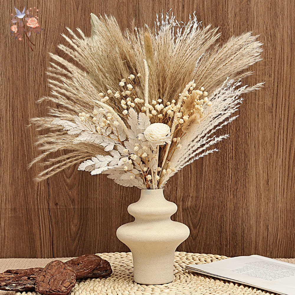 Paquete de 40 piezas de cañas  - Dried Pampas Bundle reseña y precio