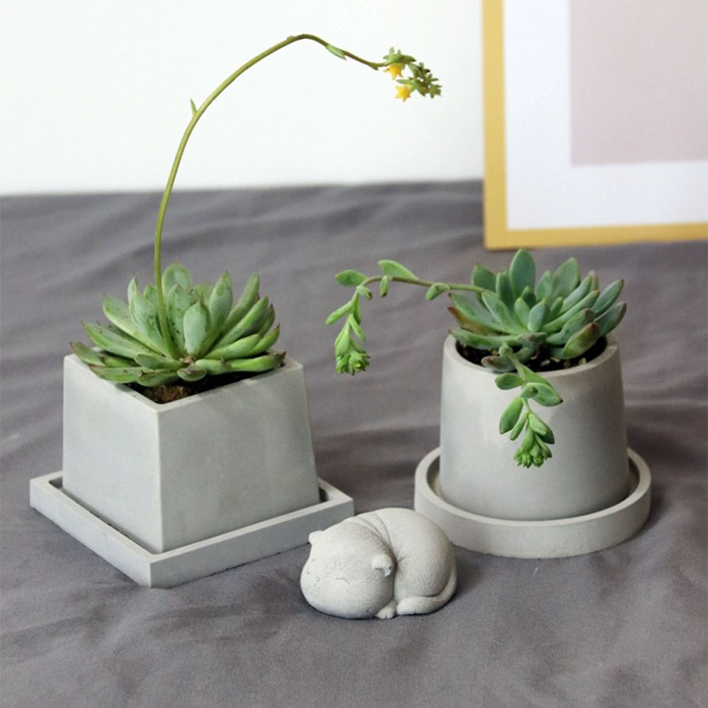 Maceta de cemento para plantas - Terrazzo Pot Cement reseña y precio