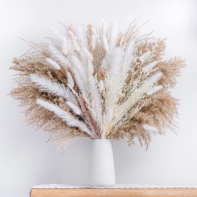 50-105 piezas de ramo de flore - Dried Pampas Bundle reseña y precio