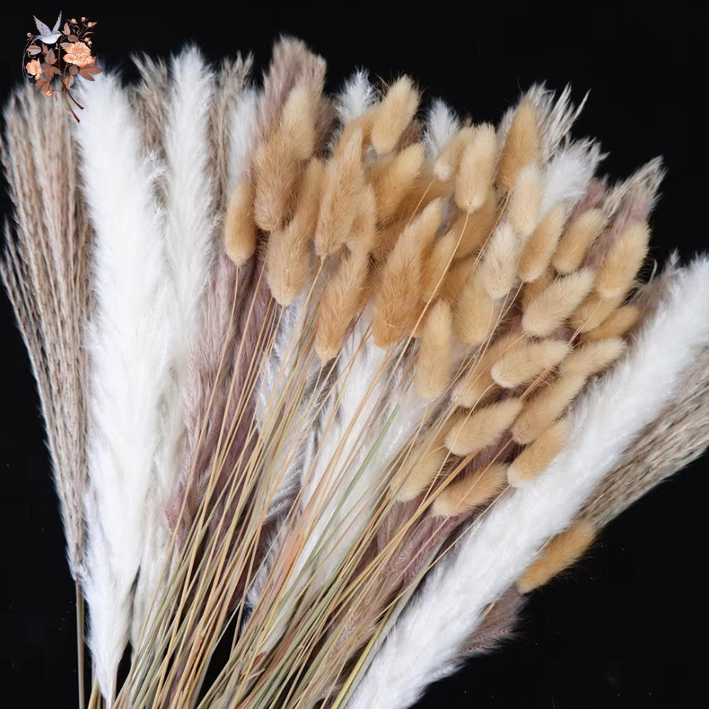 Ramo de Flores Secas Naturales - Dried Pampas Bundle reseña y precio