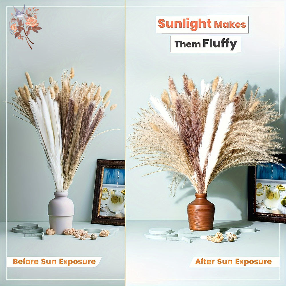 Ramo de Flores Secas Naturales - Dried Pampas Bundle reseña y precio
