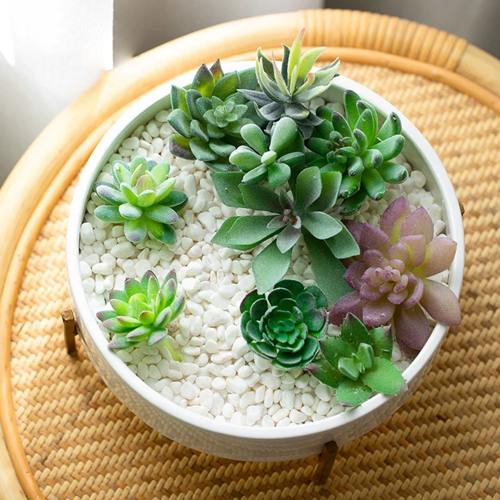 Maceta de cemento redonda de 3 - Terrazzo Pot Cement reseña y precio