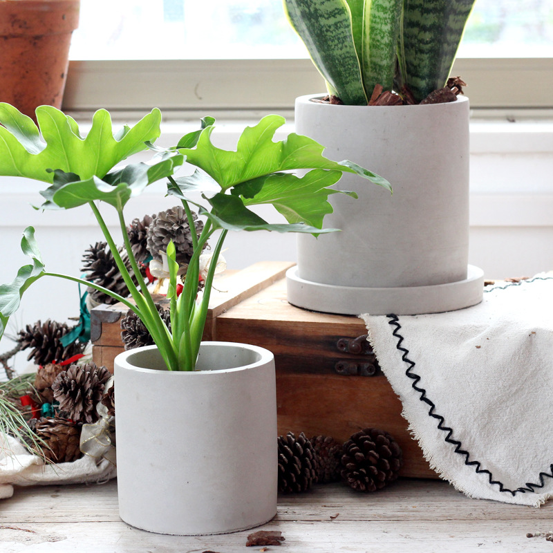Moldes de silicona para maceta - Terrazzo Pot Cement reseña y precio