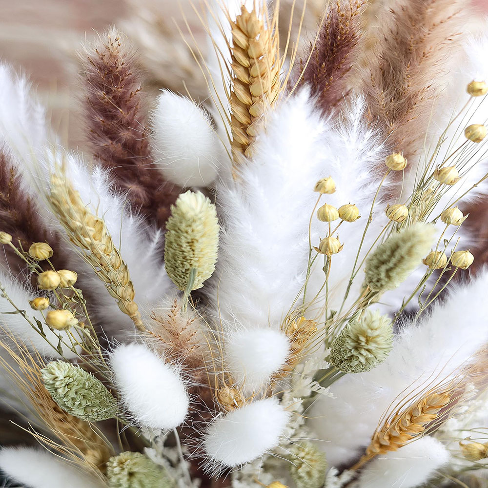 100 Uds. Ramo de hierba Pampas - Dried Pampas Bundle reseña y precio