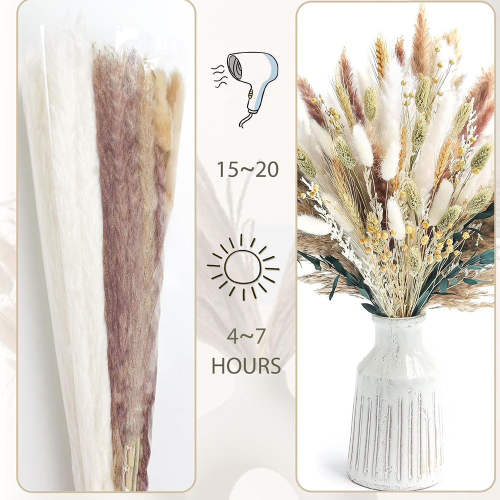 100 Uds. Ramo de hierba Pampas - Dried Pampas Bundle reseña y precio