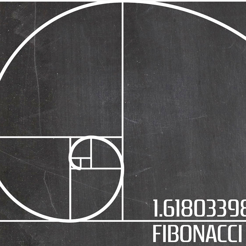Fibonacci-pintura en lienzo de - Interior Design Studio reseña y precio