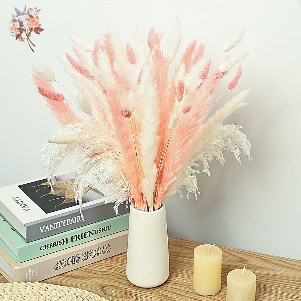 62 piezas de cañas blancas, co - Dried Pampas Bundle reseña y precio